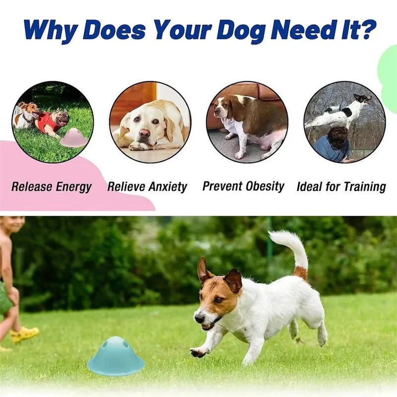 Dog Chew Toys Pet Supplies